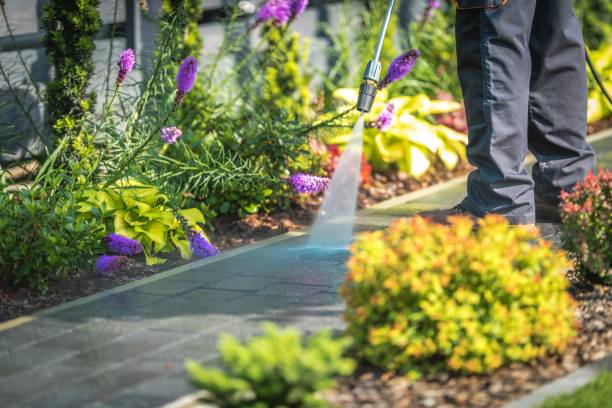 Best Sidewalk and Walkway Cleaning  in Harper Woods, MI