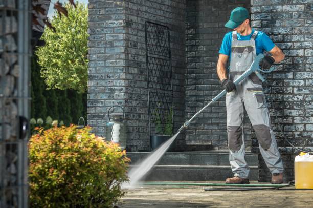 Best Driveway Pressure Washing  in Harper Woods, MI