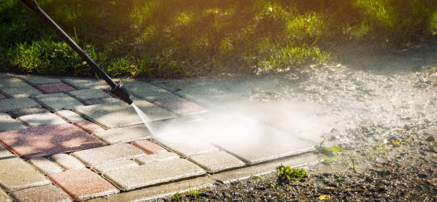 Solar Panel Cleaning in Harper Woods, MI
